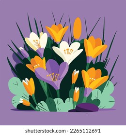 Spring crocuses, illustration in cheery pastels colors and flat style