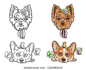 Spring cute puppy