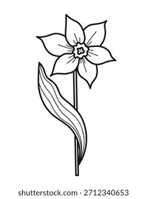 Mola Daffodil Flower Doodle. Contorno Isolado Desenhado À Mão. Ilustração de vetor. Planta de Arte com Flor Botânica Única. Não é IA 