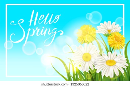 Spring daisies, chamomiles dandelions juicy green lettering. Spring grass background Template for banners, web, flyer. Vector illustration isolated.