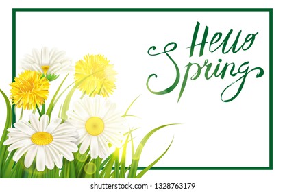 Spring daisies, chamomiles dandelions juicy green lettering. Spring grass background Template for banners, web, flyer. Vector illustration isolated.