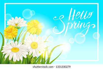 Spring daisies, chamomiles dandelions juicy green lettering. Spring grass background Template for banners, web, flyer. Vector illustration isolated.