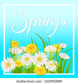 Spring daisies, chamomiles dandelions juicy green lettering. Spring grass background Template for banners, web, flyer. Vector illustration isolated.