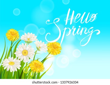 Spring daisies, chamomiles dandelions juicy green lettering Spring grass background Template for banners, web, flyer. Vector illustration isolated.