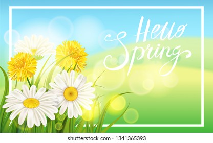 Spring daisies, chamomiles dandelions juicy green lettering Spring grass background Template for banners, web, flyer. Vector illustration isolated.