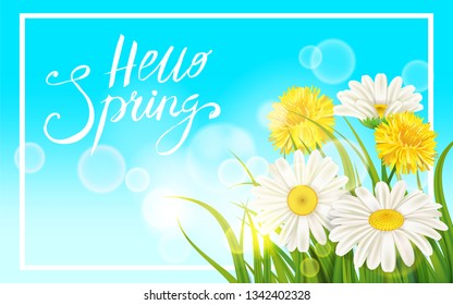 Spring daisies, chamomiles dandelions juicy green lettering Spring grass background Template for banners, web, flyer. Vector illustration isolated.