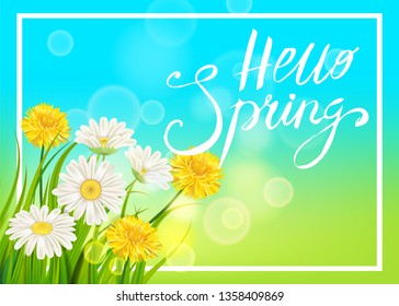 Spring daisies, chamomiles dandelions juicy green lettering Spring grass background Template for banners, web, flyer. Vector illustration isolated.