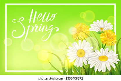 Spring daisies, chamomiles dandelions juicy green lettering Spring grass background Template for banners, web, flyer. Vector illustration isolated.