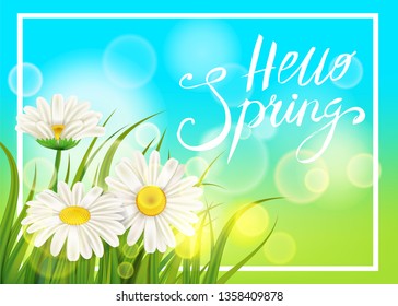 Spring daisies, chamomiles dandelions juicy green lettering. Spring grass background Template for banners, web, flyer. Vector illustration isolated.