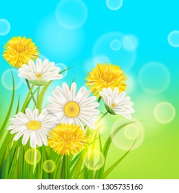 Spring daisies and dandelions background fresh green grass, pleasant juicy spring colors, vector, illustration, template, banner, isolated