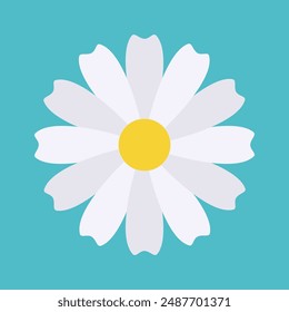 Flor de manzanilla de primavera. Colección de flores blancas. Concepto creciente. Icono de manzanilla. Feliz Día de San Valentín. Tarjeta de amor. Elementos frescos y en flor. Diseño plano. Aislado. Fondo azul. Vector