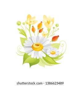 Spring daisy, crocus honey flowers floral icon. Realistic cartoon cute plant blossom, spring, summer garden symbol. Vector illustration for greeting card design. Isolated on white background
