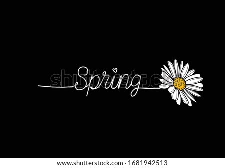 spring daisy flower hand drawn vector