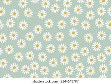 spring daisy vector hand drawn design