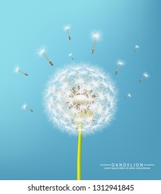 Spring dandelion flower Vector realistic. Sky background soft bokeh illustrations