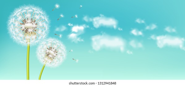 Spring dandelion flower Vector realistic. Sky background soft bokeh illustrations