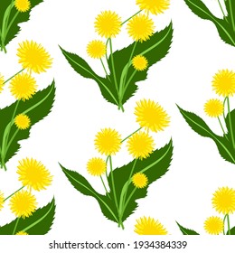 spring dandelions seamless vector pattern on white background