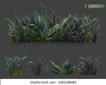 Spring. Dark green grass, 3d realistic vector icon set