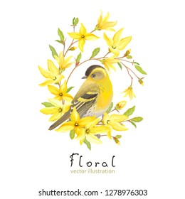 Spring decor with bird Siskin, blossoming yellow flowers and green leaves on branches Forsythia. Vector illustration in watercolor style on white background.