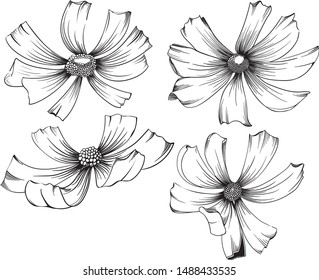 Spring decorative  flowers,  line art