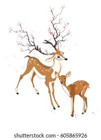 Spring deer and fawn