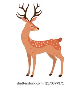 Spring deer isolated on white background. Vector illustration.