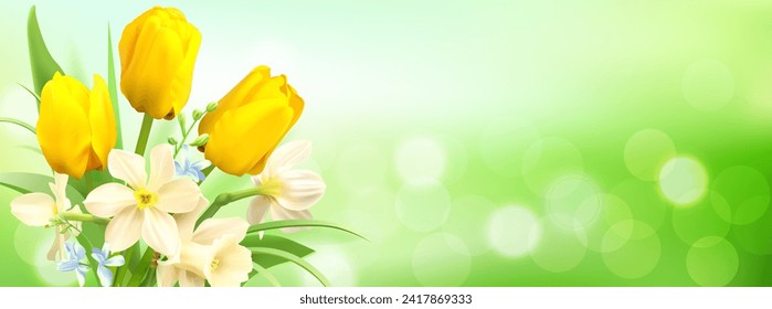 Spring delicate banner with tulips and daffodils. Template for greeting, invitation, advertising with place for text. Vector illustration.