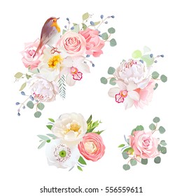 Spring delicate bouquets and cute robin bird vector design objects. Peachy and pink roses, peony, carnation, orchid, white poppy, ranunculus flowers, eucalyptus. All elements isolated and editable.