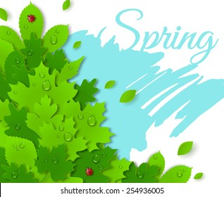 Spring design concept with green leaves.  Vector illustration. Water drops and lady bugs. 