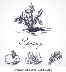 Spring design elements
