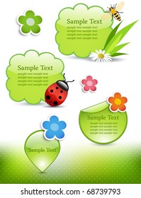 Spring design elements: honey bee, ladybug, flowers and labels
