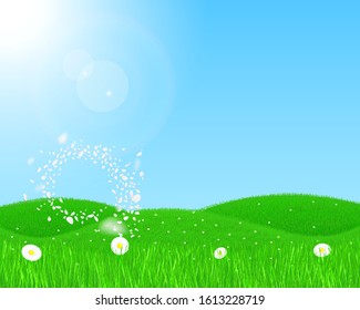 Spring design with floral meadow. White daisy in the green grass. The wind blows the flower petals swirling, in the air. Grassy hills in the background in the sunshine.