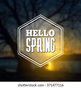 Spring design on a blurred background. Vector illustration