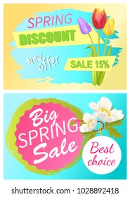 Spring discount new offer sale advertisement sticker colorful bouquet three tulips and anemone color vector illustration collection sale best choice