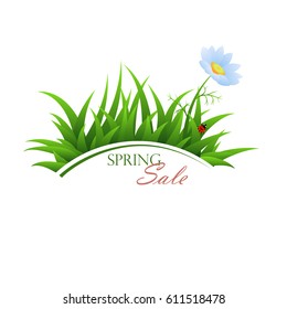 Spring discount poster with grass and chamomile. Grass with flower and ladybug isolated on white background. Vector illustration