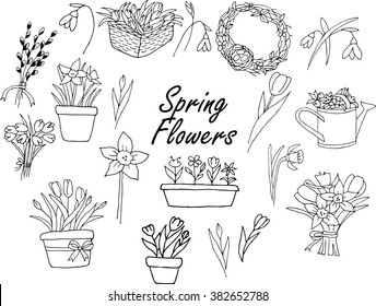 Spring doodles set. Hand drawn different flowers: narcissus, tulips, willow etc
