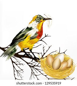 Spring Easter vector background with realistic  vector bird and nest