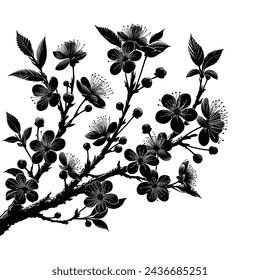 Spring Elegance Cherry Blossom Silhouette Clusters on White Background