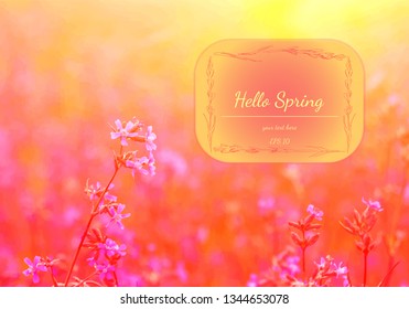 Spring elegant background with pink wildflowers. Hello Spring. Watercolor greeting card of flowers. Vector illustration
