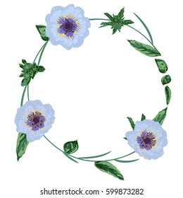 Spring elegant circle poppy flowers wreath vector illustration
