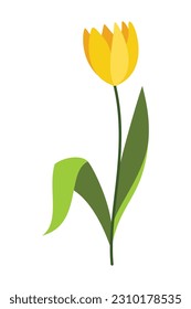 Spring Element Illustration Isolated On White Background. Gardening and Spring hand drawn elements. Floral and Animal Spring doodle set. Cute set of spring cliparts, easter elements.