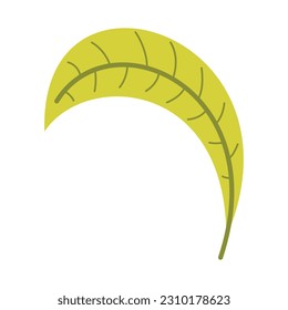 Spring Element Illustration Isolated On White Background. Gardening and Spring hand drawn elements. Floral and Animal Spring doodle set. Cute set of spring cliparts, easter elements.