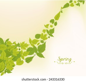 spring fall leaves background