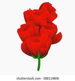 spring field flower vector illustration