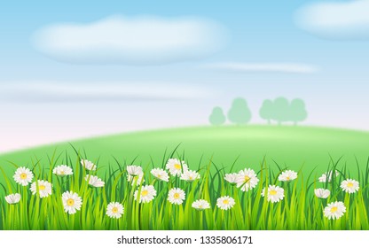 Spring field of flowers of daisies, chamomile and green juicy grass, meadow, blue sky, white clouds. Vector, illustration, isolated, template, banner, flyer