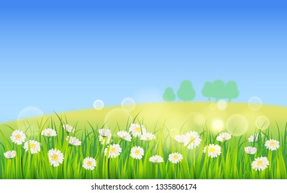 Spring field of flowers of daisies, chamomile and green juicy grass, meadow, blue sky, white clouds. Vector, illustration, isolated, template, banner, flyer