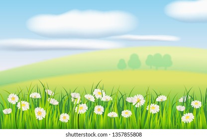 Spring field of flowers of daisies, chamomile and green juicy grass, meadow, blue sky, white clouds