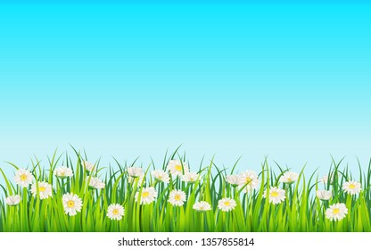 Spring field of flowers of daisies, chamomile and green juicy grass, meadow