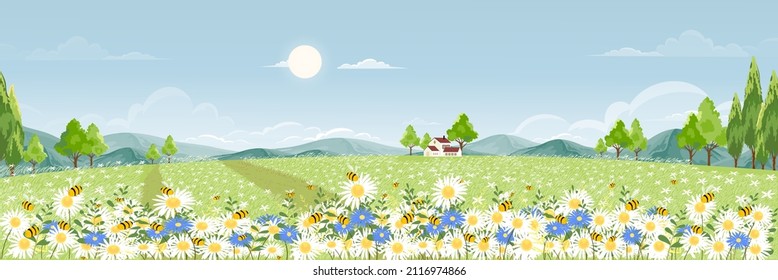 Campo primaveral con nubes esponjosas sobre el cielo azul,Cute caricatura panorámica paisaje rural hierba verde con abeja colectando polen sobre las flores en los días soleados Verano,Banner de fondo vector para primavera 