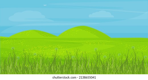 Spring field, meadow. Background with blue flowers, grass, hills. Vector drawing in a flat style.